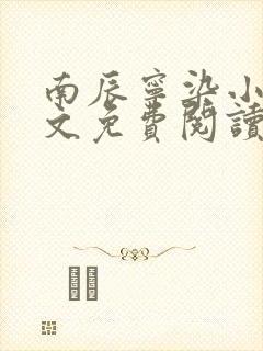 南辰宁染小说全文免费阅读