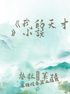 《我的天才女友》小说