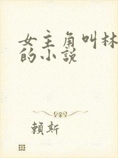 女主角叫林清妍的小说