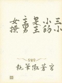 女主是小三主动撩男主的小说