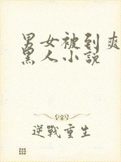 男女被到爽流水黑人小说