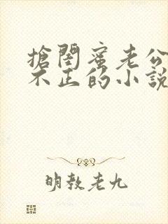 抢闺蜜老公三观不正的小说