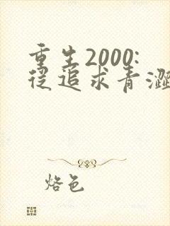 重生2000:从追求青涩校花同桌开始第24章