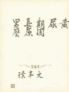 男长期尿黄是什么原因