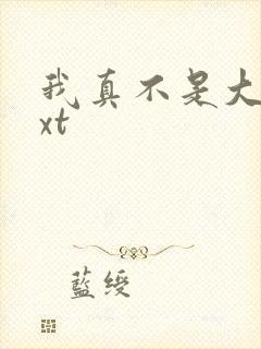 我真不是大佬txt