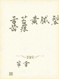 舌苔黄腻裂纹有齿痕