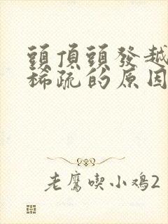 头顶头发越来越稀疏的原因