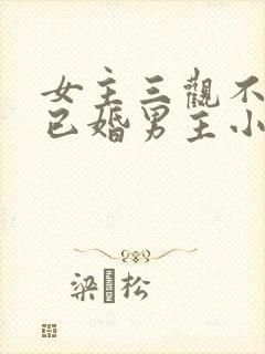 女主三观不正抢已婚男主小说