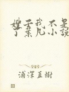 嫂子我不是傻子了叶凡小说免费阅读