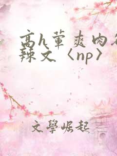 高h荤爽肉欲文辣文〈np〉