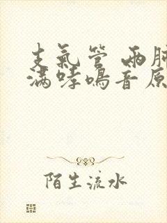 支气管 两肺布满哮鸣音原因