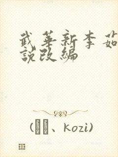 武华新李茹菲小说改编