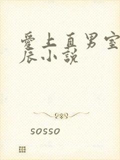 爱上直男室友张辰小说