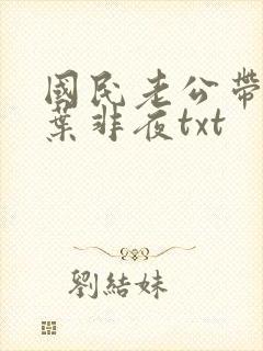 国民老公带回家叶非夜txt