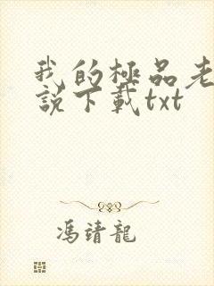 我的极品老婆小说下载txt