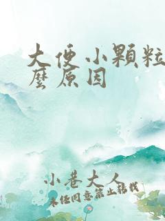 大便小颗粒是什么原因