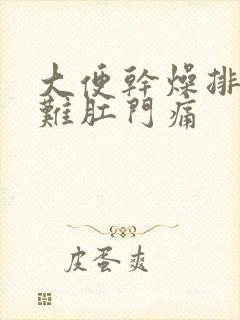 大便干燥排便困难肛门痛