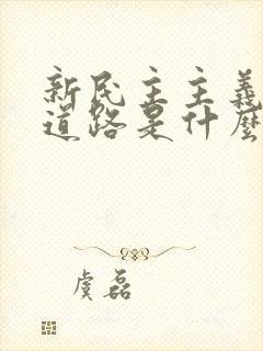 新民主主义革命道路是什么道路