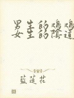 男生的鸡鸡捅进女生的阴道