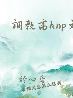 调教高hnp文