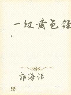 一级黄色录像带.