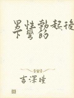 男性勃起后是向下弯的