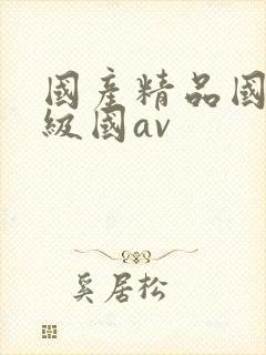 国产精品国产三级国av