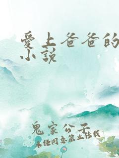 爱上爸爸的女儿小说