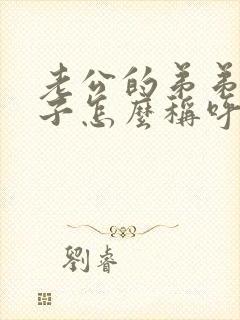 老公的弟弟的儿子怎么称呼