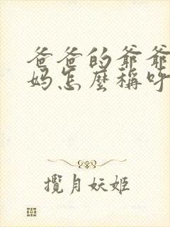 爸爸的爷爷的妈妈怎么称呼