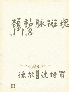 颈动脉斑块10.1*1.8