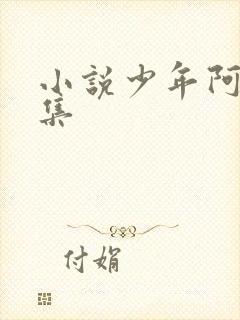 小说少年阿宾全集