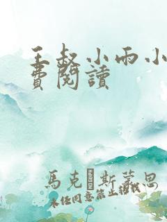 王叔小雨小说免费阅读