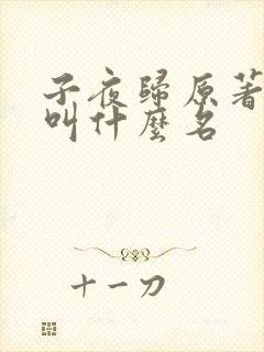 子夜归原著小说叫什么名