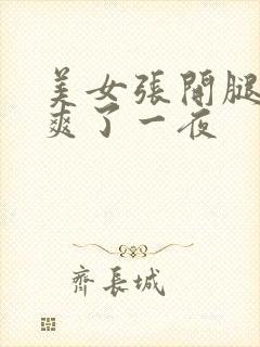 美女张开腿让我爽了一夜