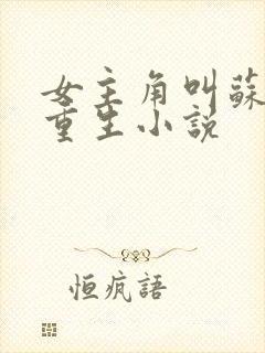 女主角叫苏婉的重生小说