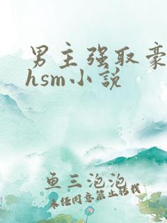 男主强取豪夺高hsm小说