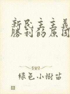 新民主主义革命胜利的原因和基本经验