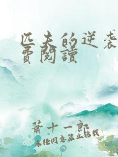 匹夫的逆袭 免费阅读