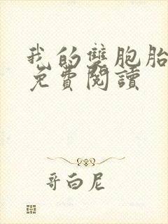 我的双胞胎老婆免费阅读