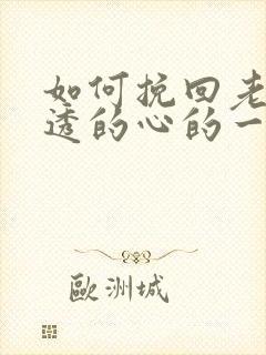 如何挽回老婆伤透的心的一段话