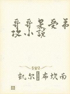 哥哥是受弟弟是攻小说