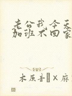 老公我今天晚上加班不回家