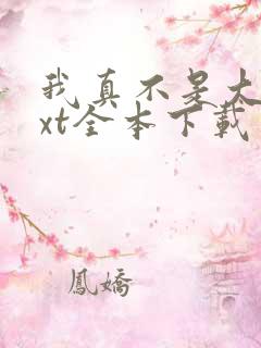 我真不是大佬txt全本下载