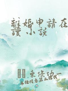 离婚申请在线阅读 小说