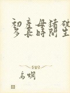 初产母猪破羊水多长时间生小猪