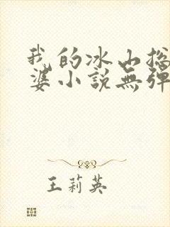 我的冰山总裁老婆小说无弹窗