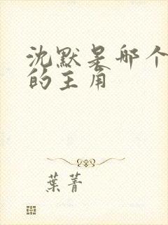 沈默是哪个小说的主角