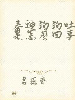 泰迪狗狗吐黄水是怎么回事