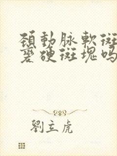 颈动脉软斑块能变硬斑块吗